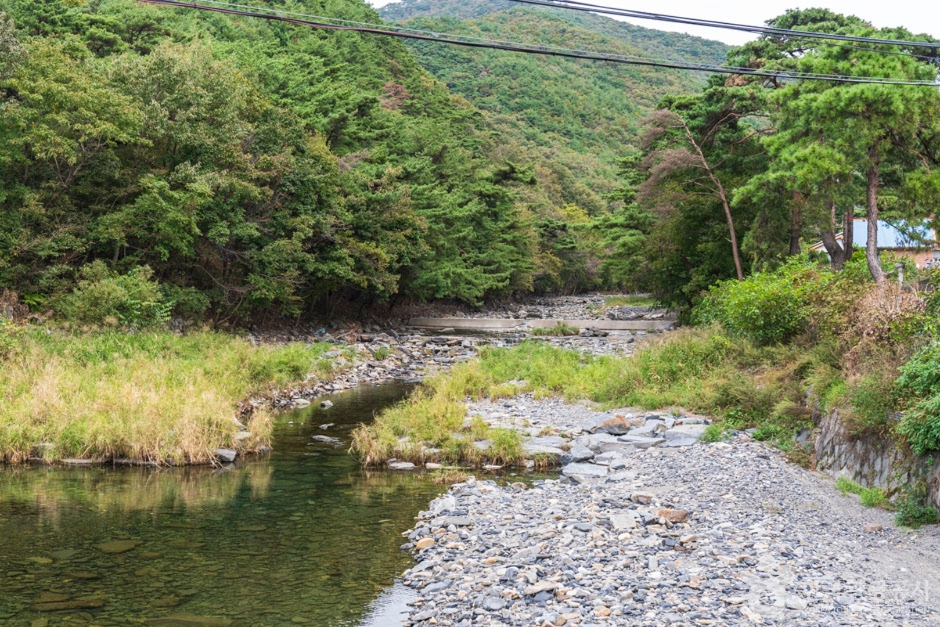 충남
