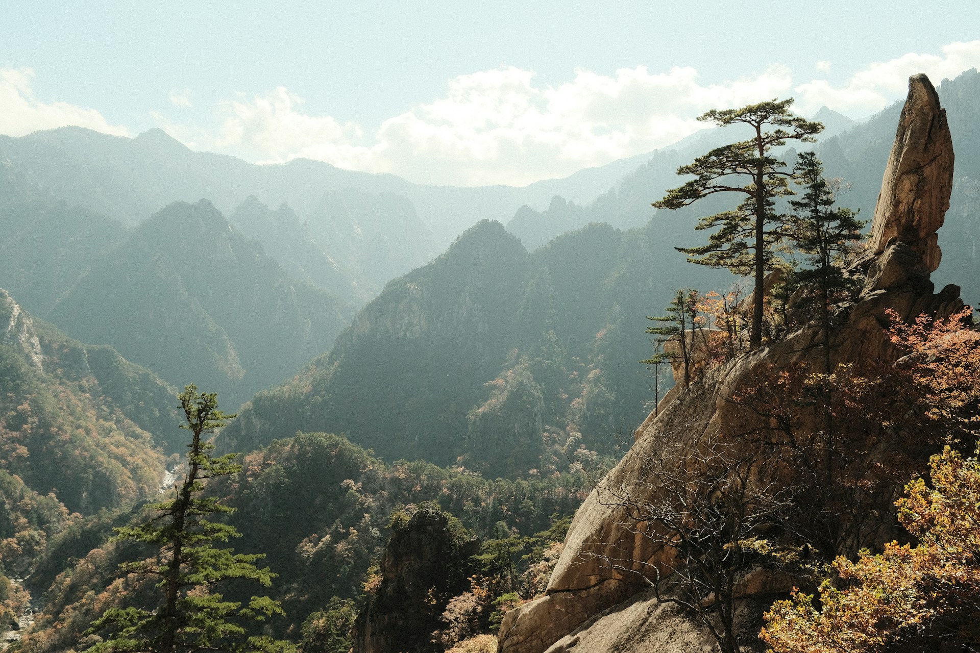 강원 설악(실촬)